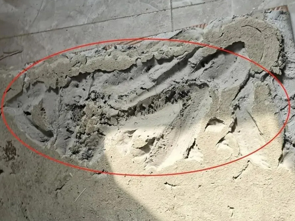 ɰ�{��M����(hu��)��ɴɴu�չ���