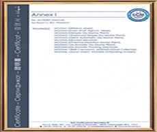 CE�C��(sh��)�ڶ��(y��)